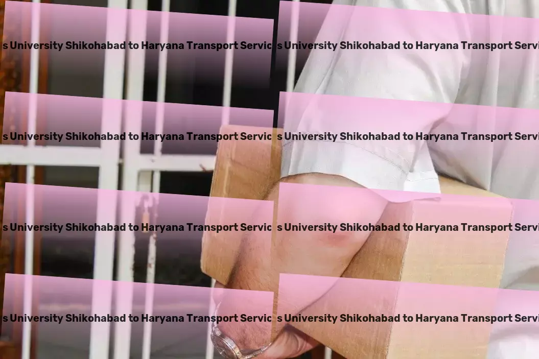 Js University Shikohabad to Haryana Transport Advanced cargo solutions