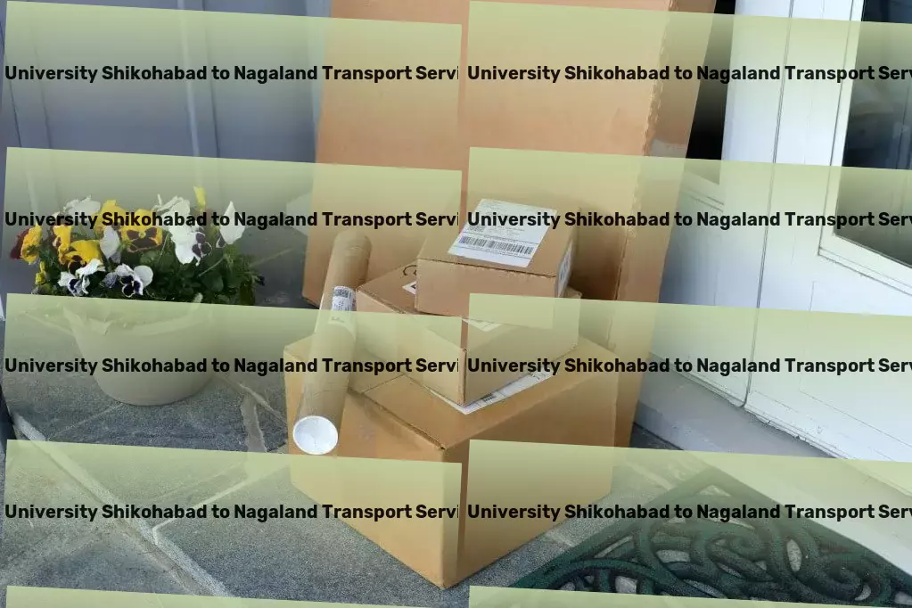 Js University Shikohabad to Nagaland Transport Breakthrough solutions for India's logistical complexities! - Heavy cargo logistics