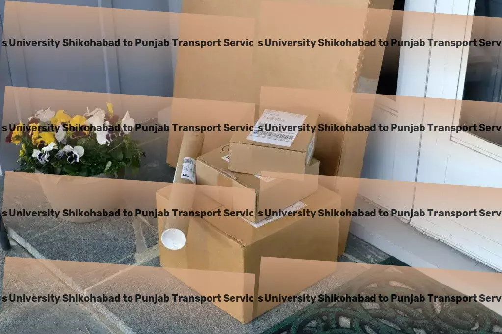 Js University Shikohabad to Punjab Transport Direct cargo solutions