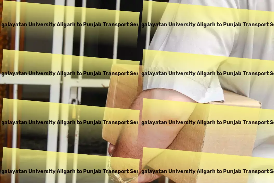 Mangalayatan University Aligarh to Punjab Transport Nationwide shipping solutions