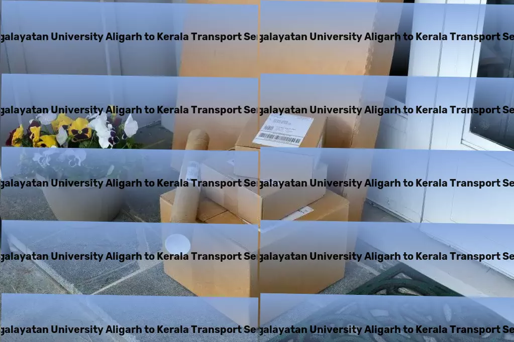 Mangalayatan University Aligarh to Kerala Transport Professional package delivery