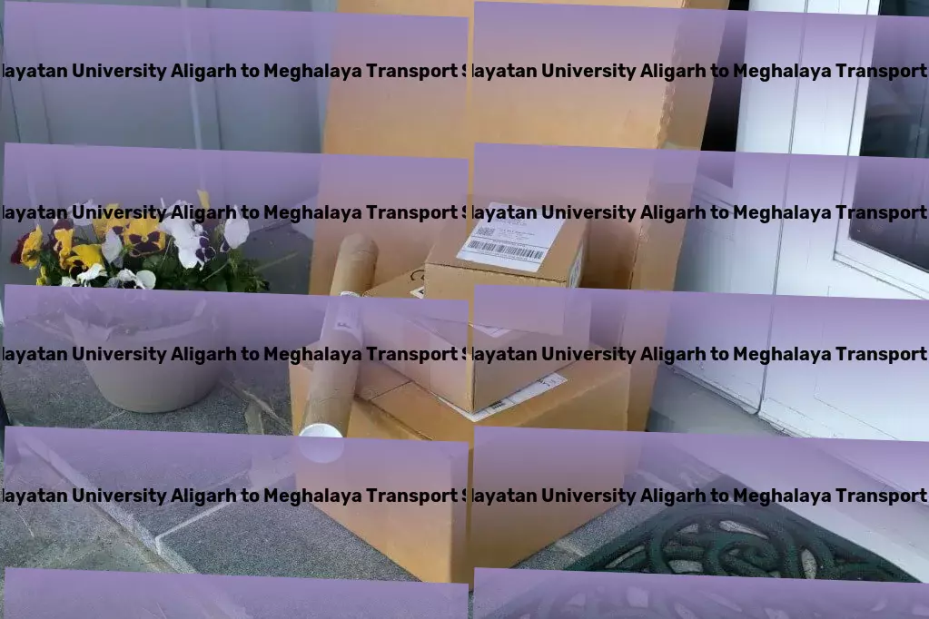 Mangalayatan University Aligarh to Meghalaya Transport Freight shipping