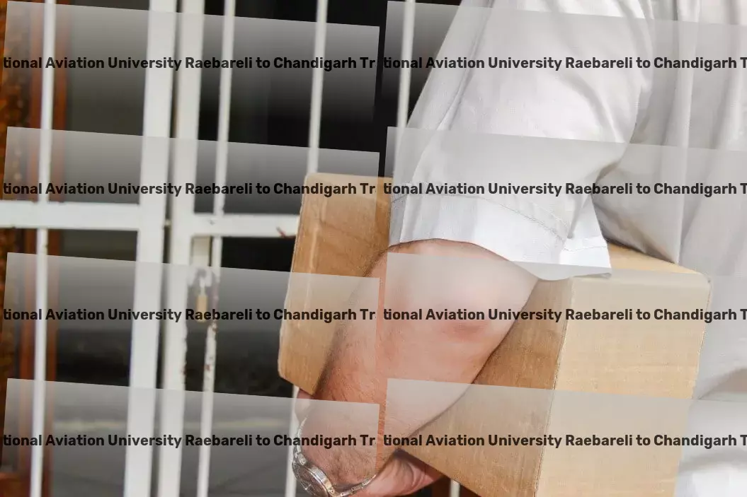 Rajiv Gandhi National Aviation University Raebareli to Chandigarh Transport Global transport solutions