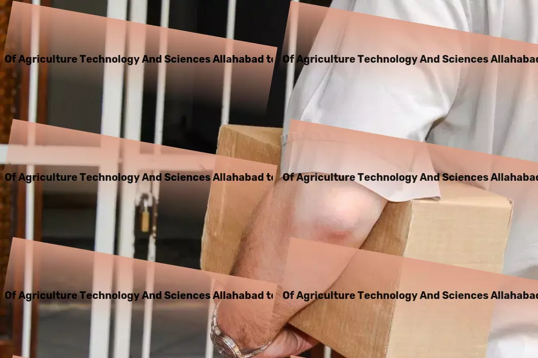 Sam Higginbottom Institute Of Agriculture Technology And Sciences Allahabad to Haryana Transport Streamline your supply chain with unparalleled expertise! - Nationwide package logistics